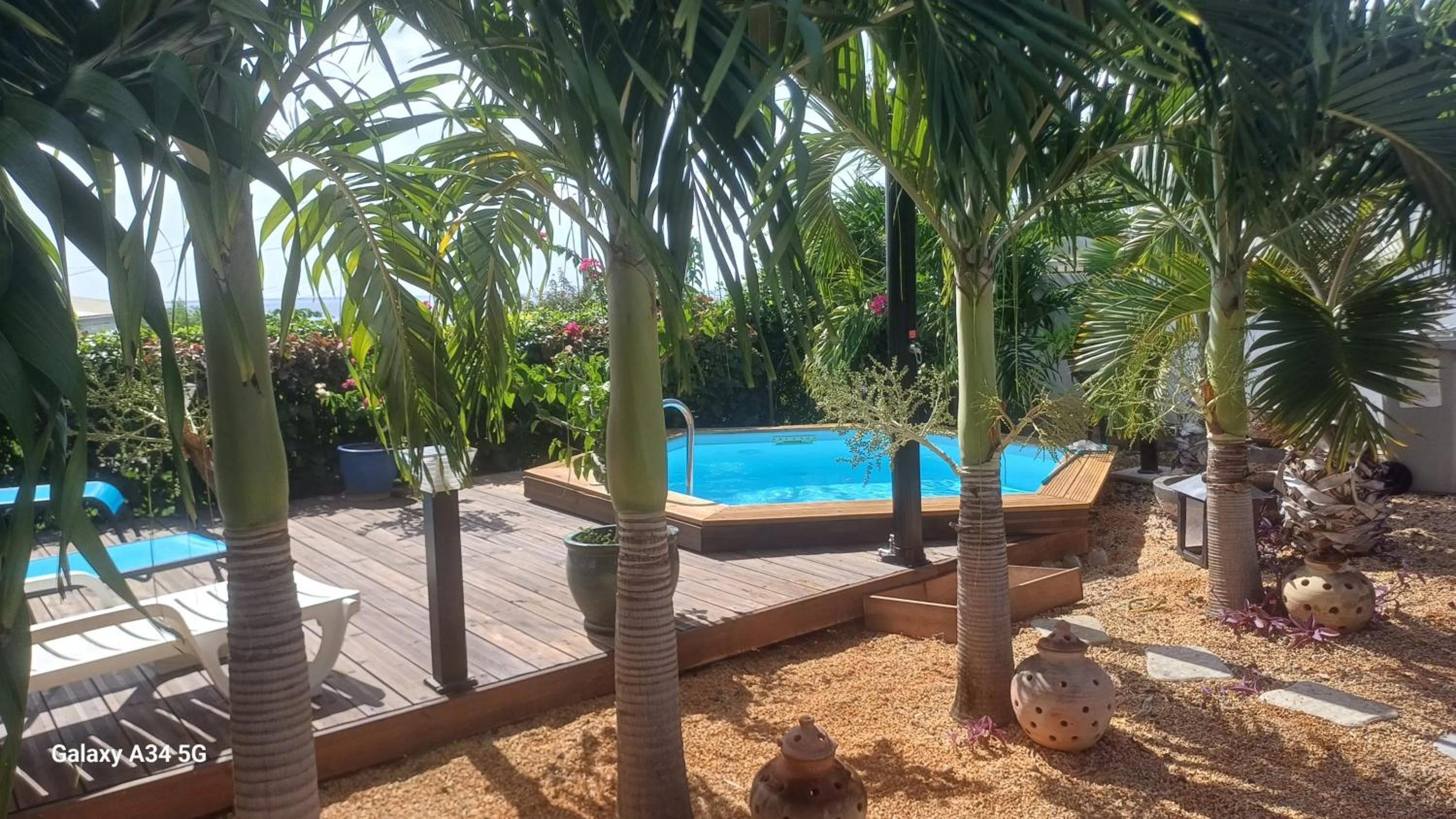 Villa élégante à Bouillante avec piscine privée view 5