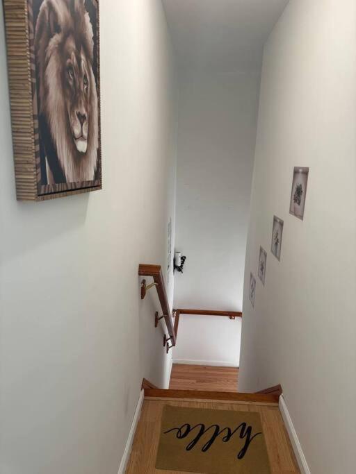 Photo 31