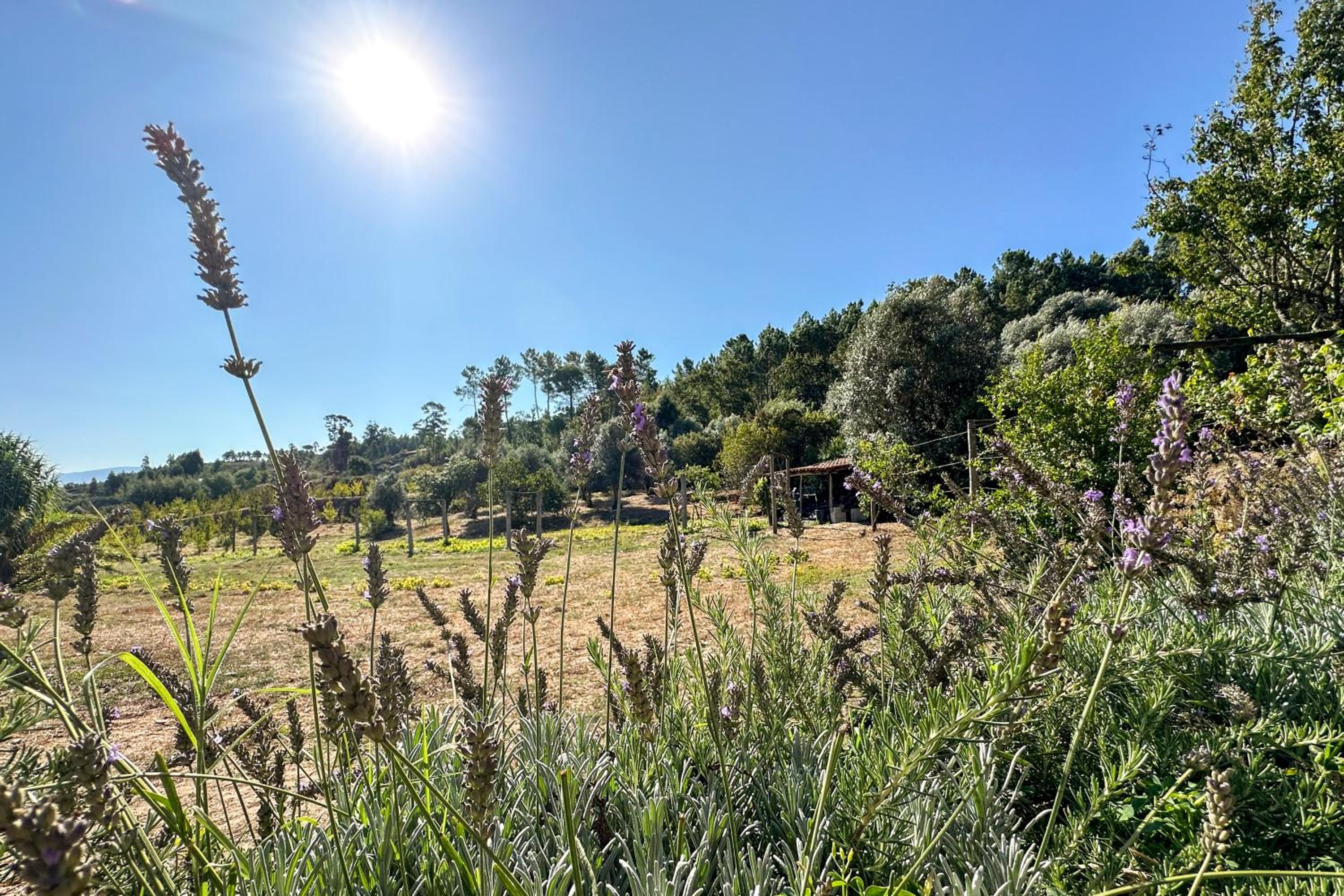 Quinta dos Mascarenhas Nature House