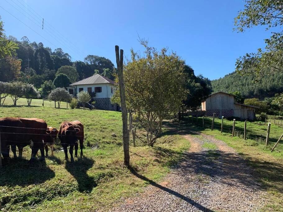 Casa tradicinal de colônia, ampla e confortável