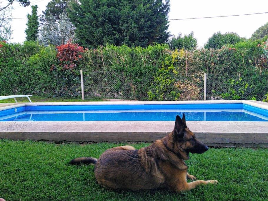 La casita de sierra, a pasitos de Mar del Plata ACLARACION leer info del perfil del anfitrion