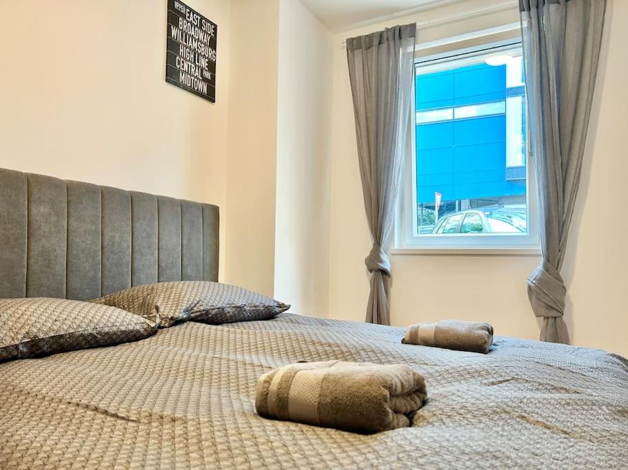 Modern Stylish Brand New Apartment