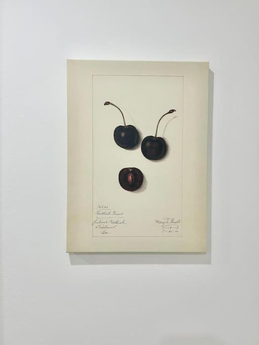 Modern Stylish Brand New Apartment