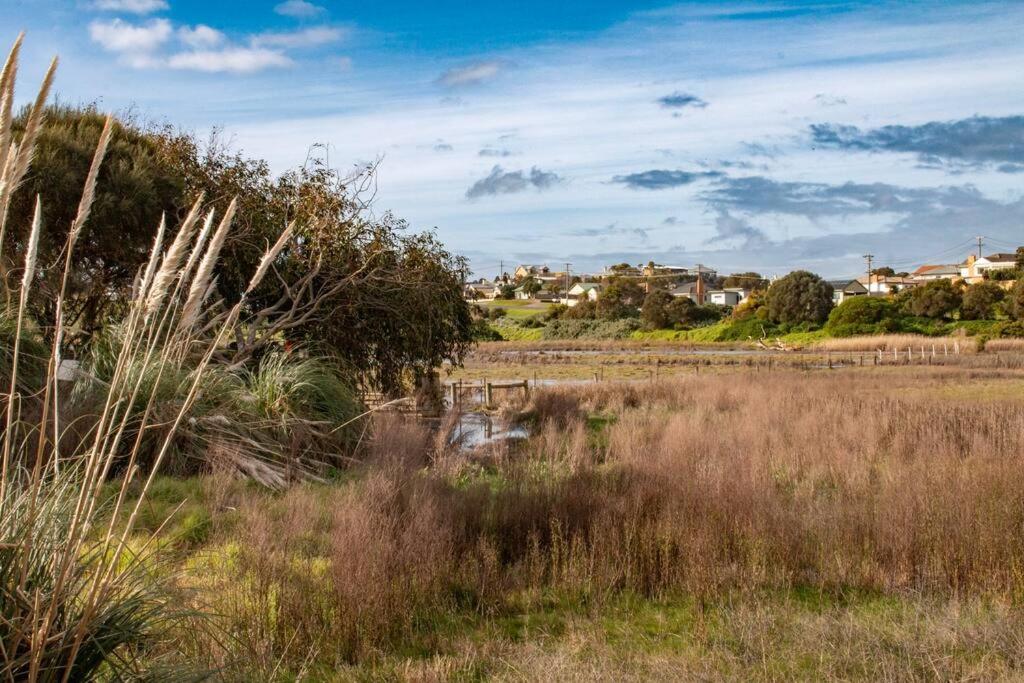 The Wetlands