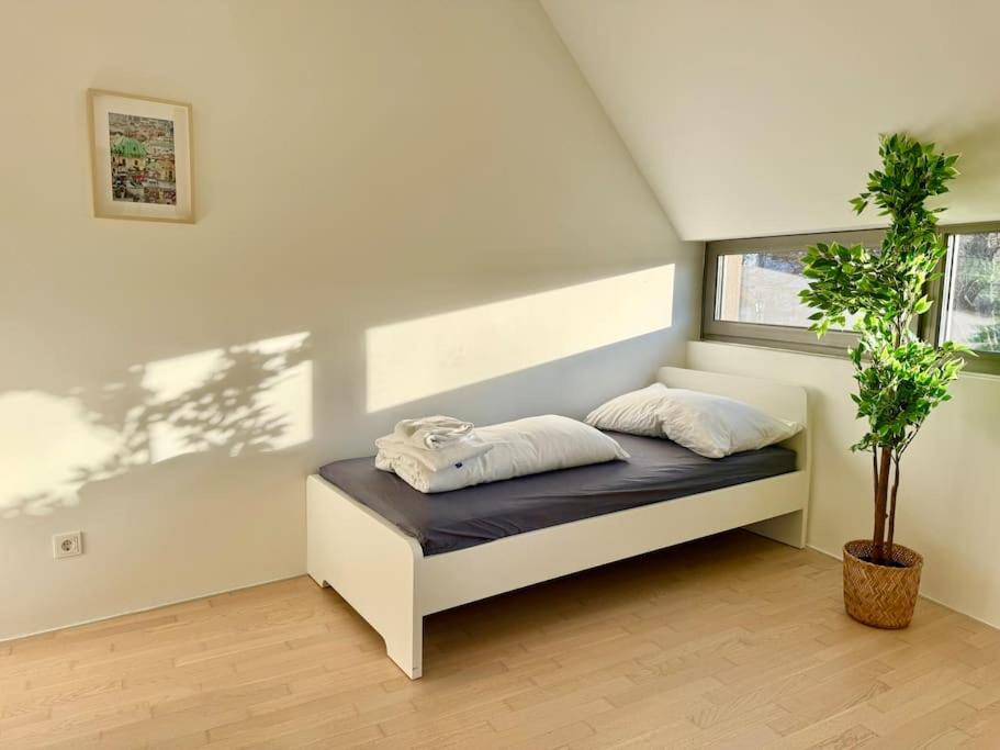 Bright Spacious Maisonette with Garden
