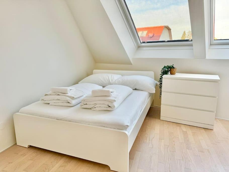 Bright Spacious Maisonette with Garden