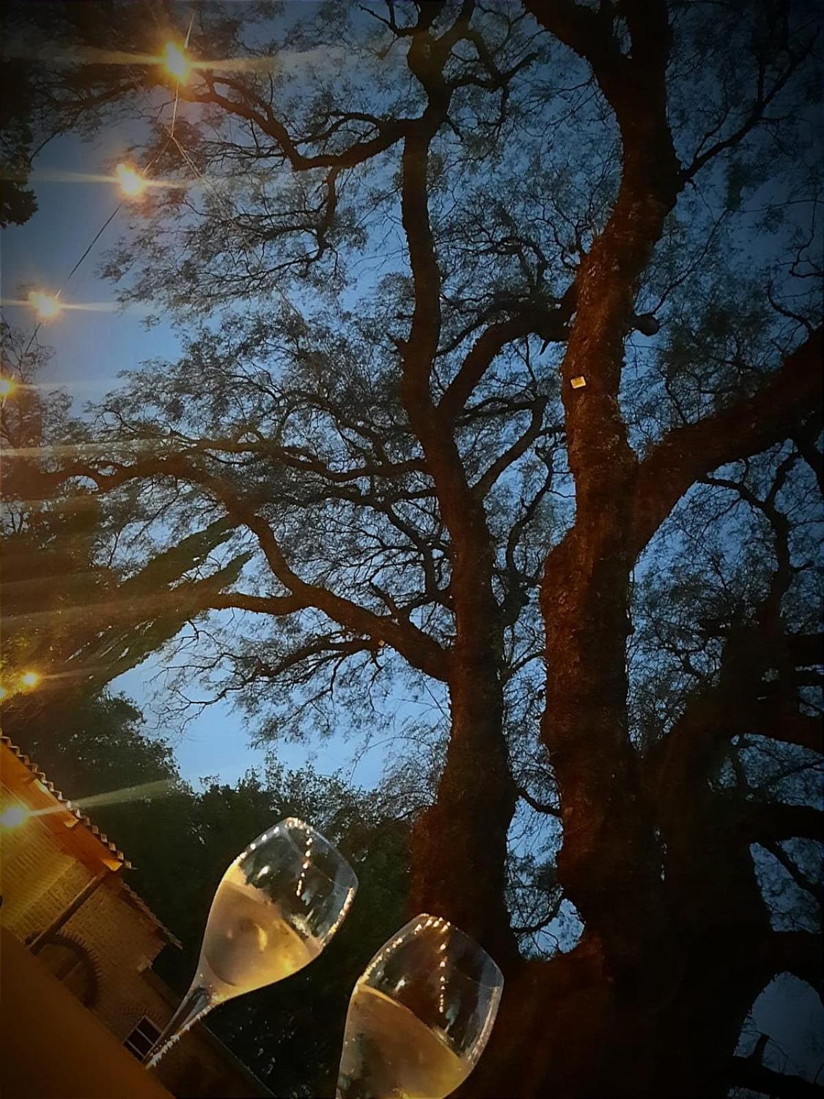 La Celeste