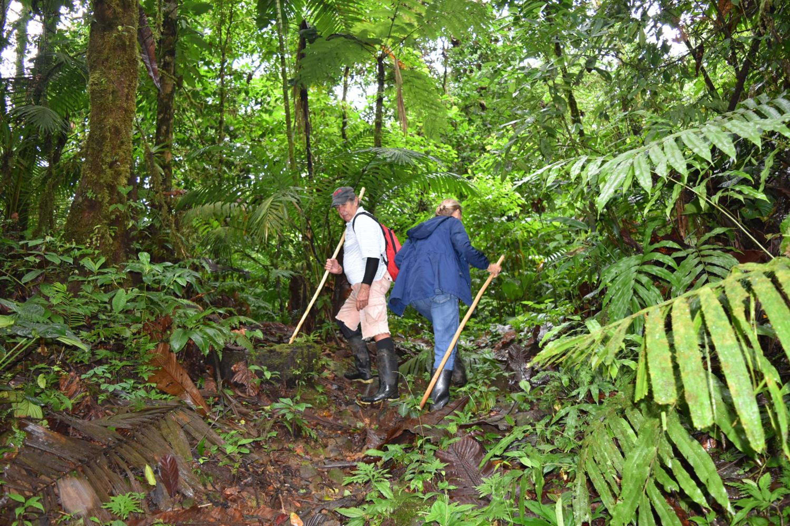 Arenal Mason Retreat