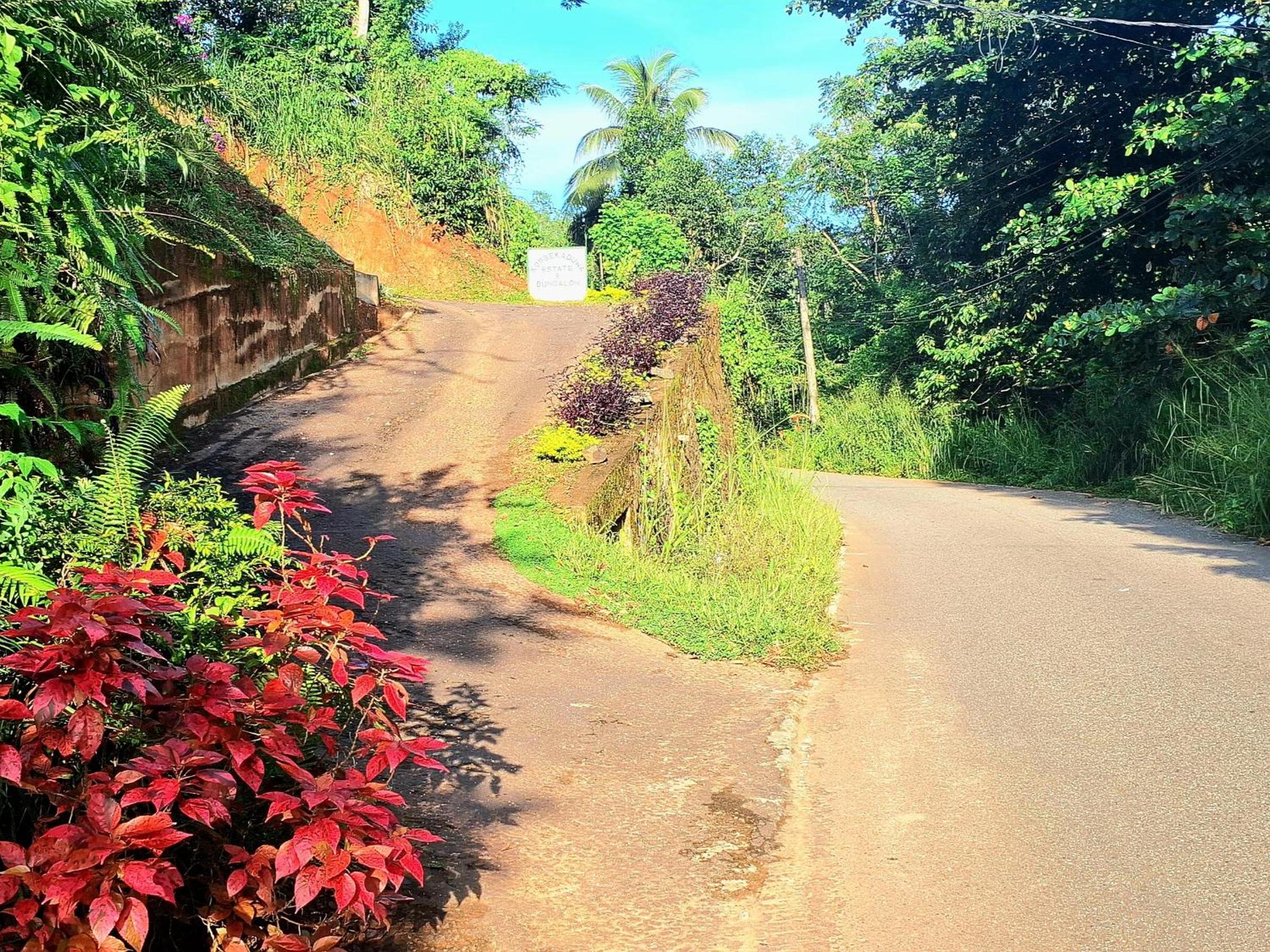 Kobbekaduwa Bungalow