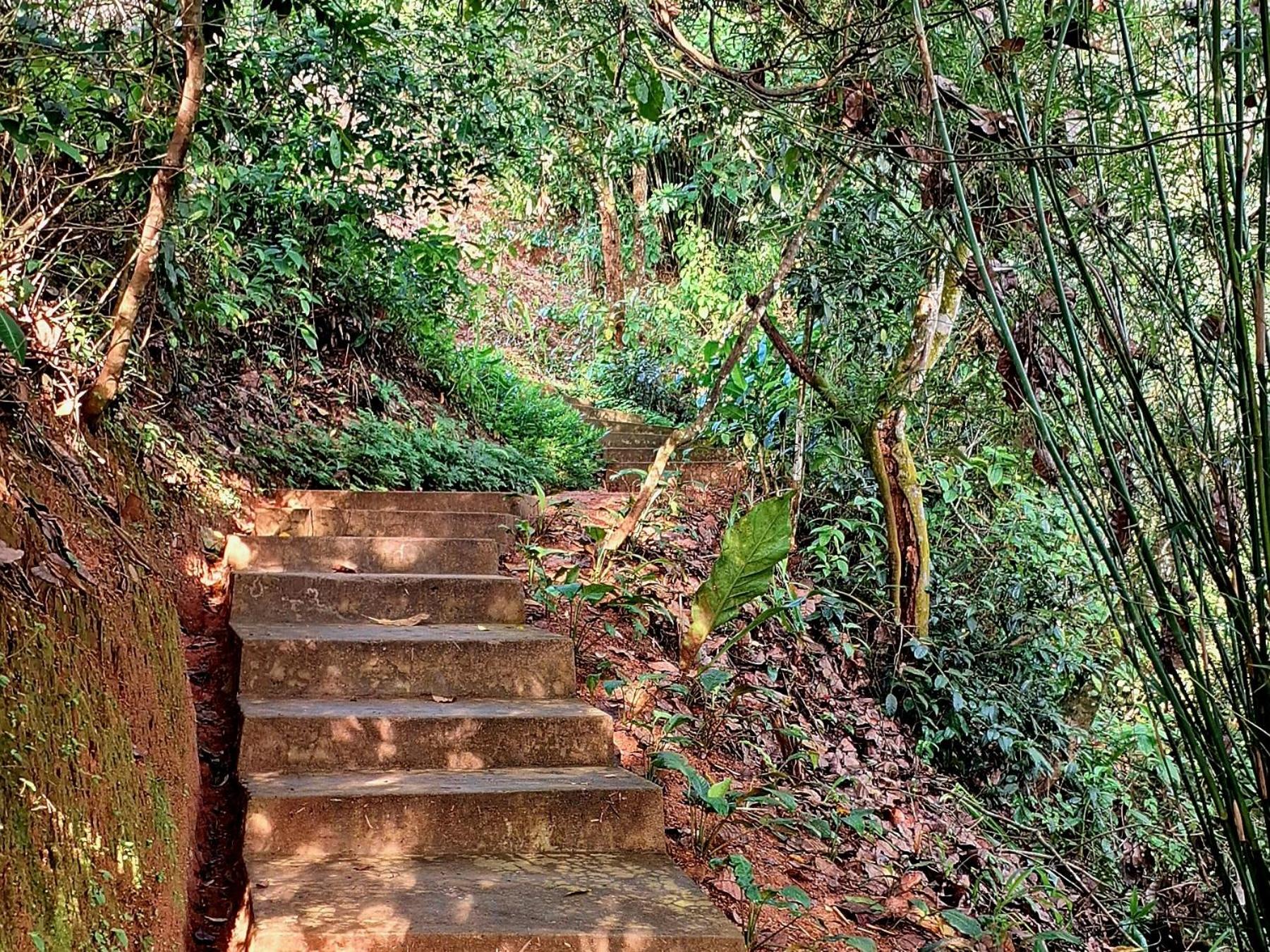 Kobbekaduwa Bungalow