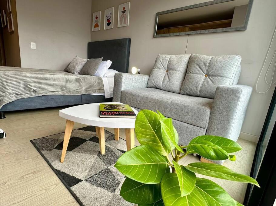 Muttuo 77 Diseño, Ubicación y Comodidad en un Solo Lugar