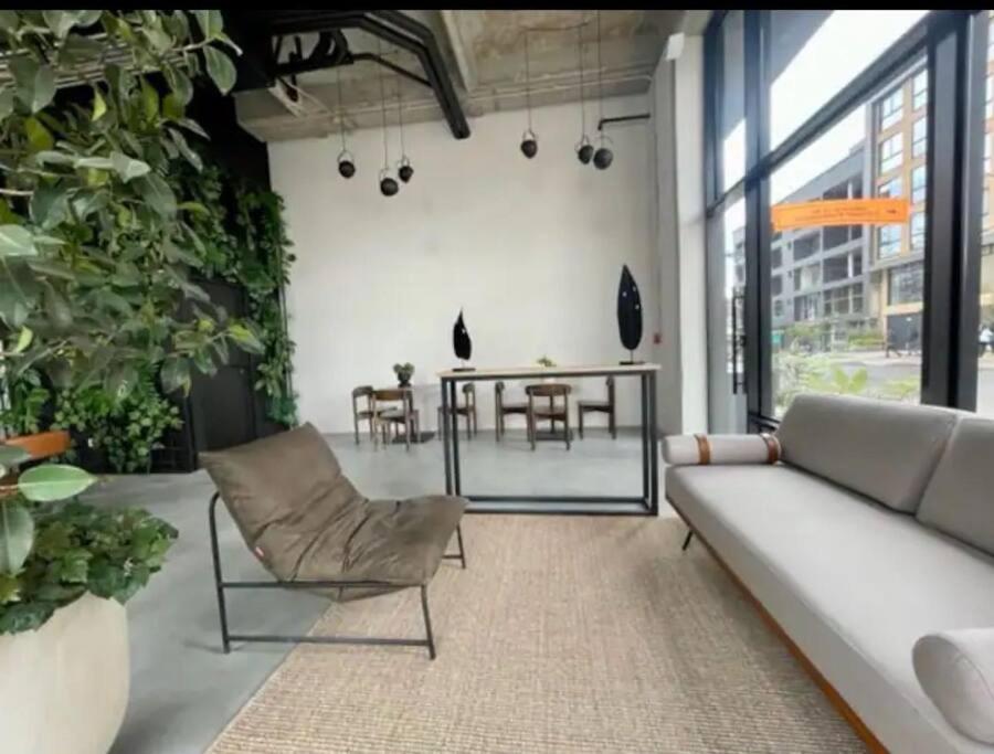 Muttuo 77 Diseño, Ubicación y Comodidad en un Solo Lugar