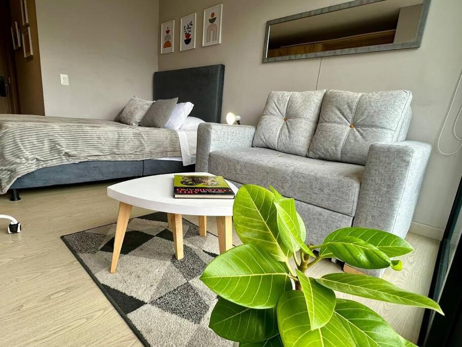 Muttuo 77 Diseño, Ubicación y Comodidad en un Solo Lugar