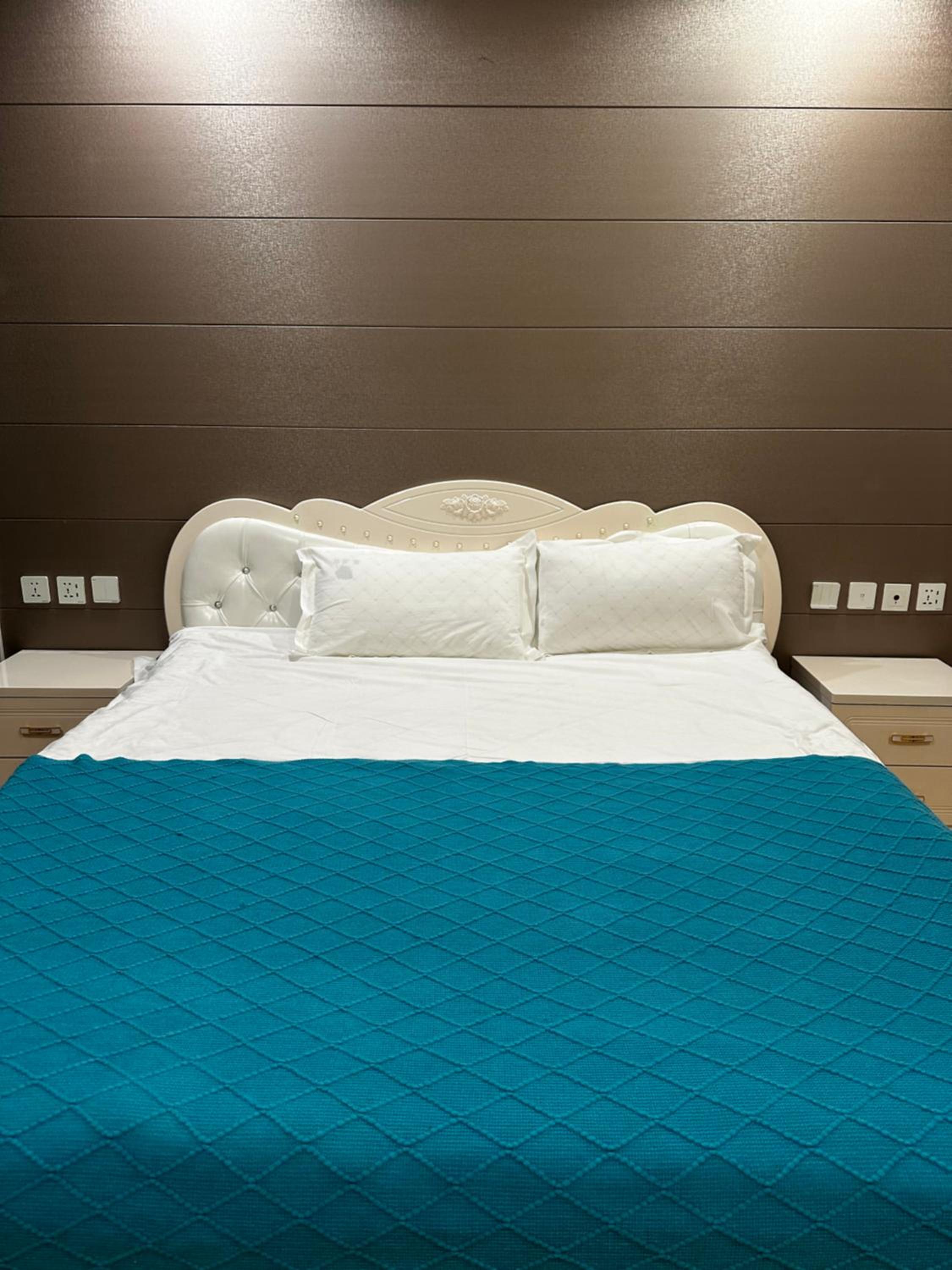 Classic apartment at Circus view 3