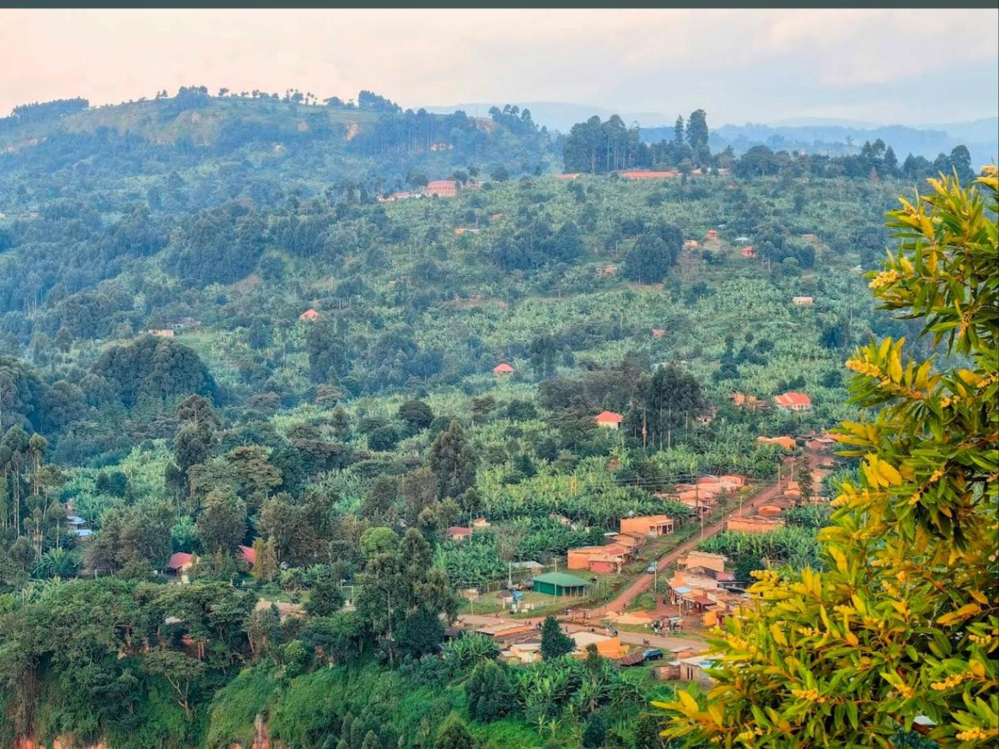 Sipi Backpackers
