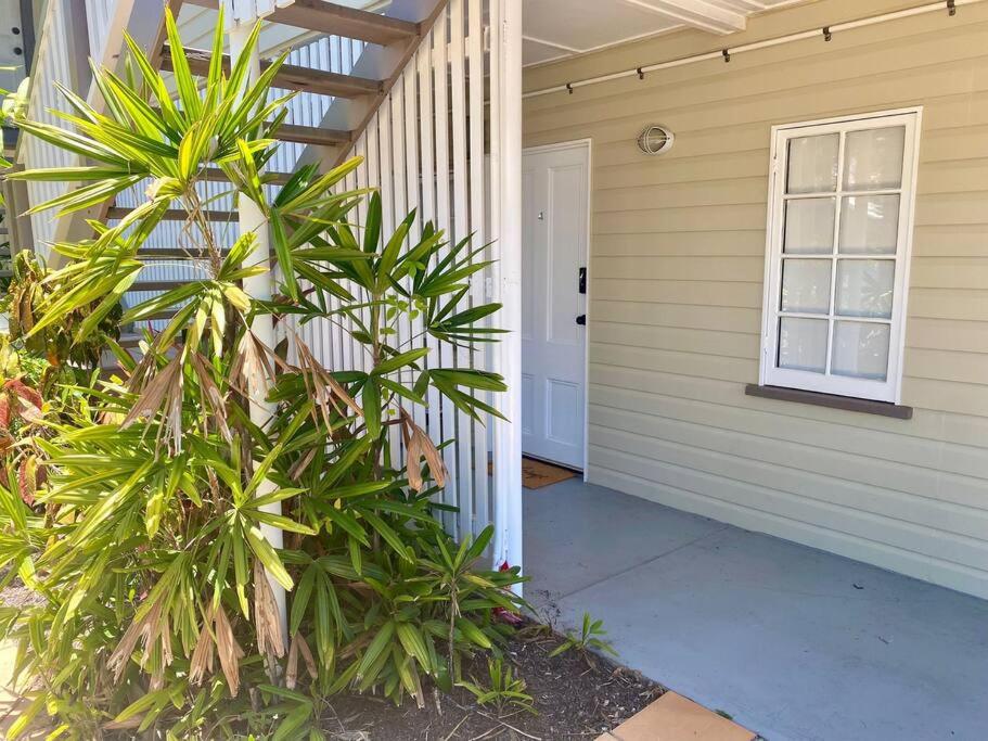 Serenity on Tully - Cozy Queenslander Hideaway