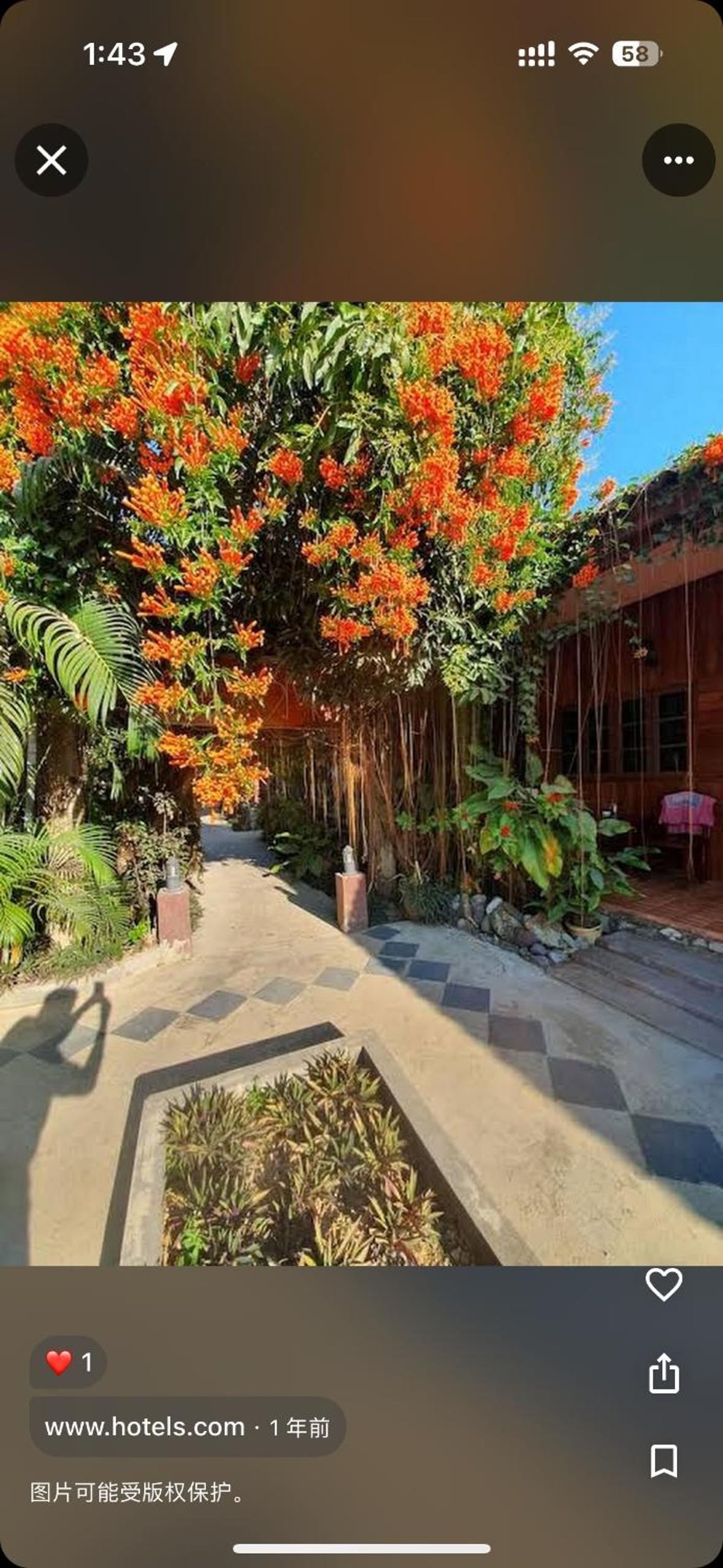 Bungalow