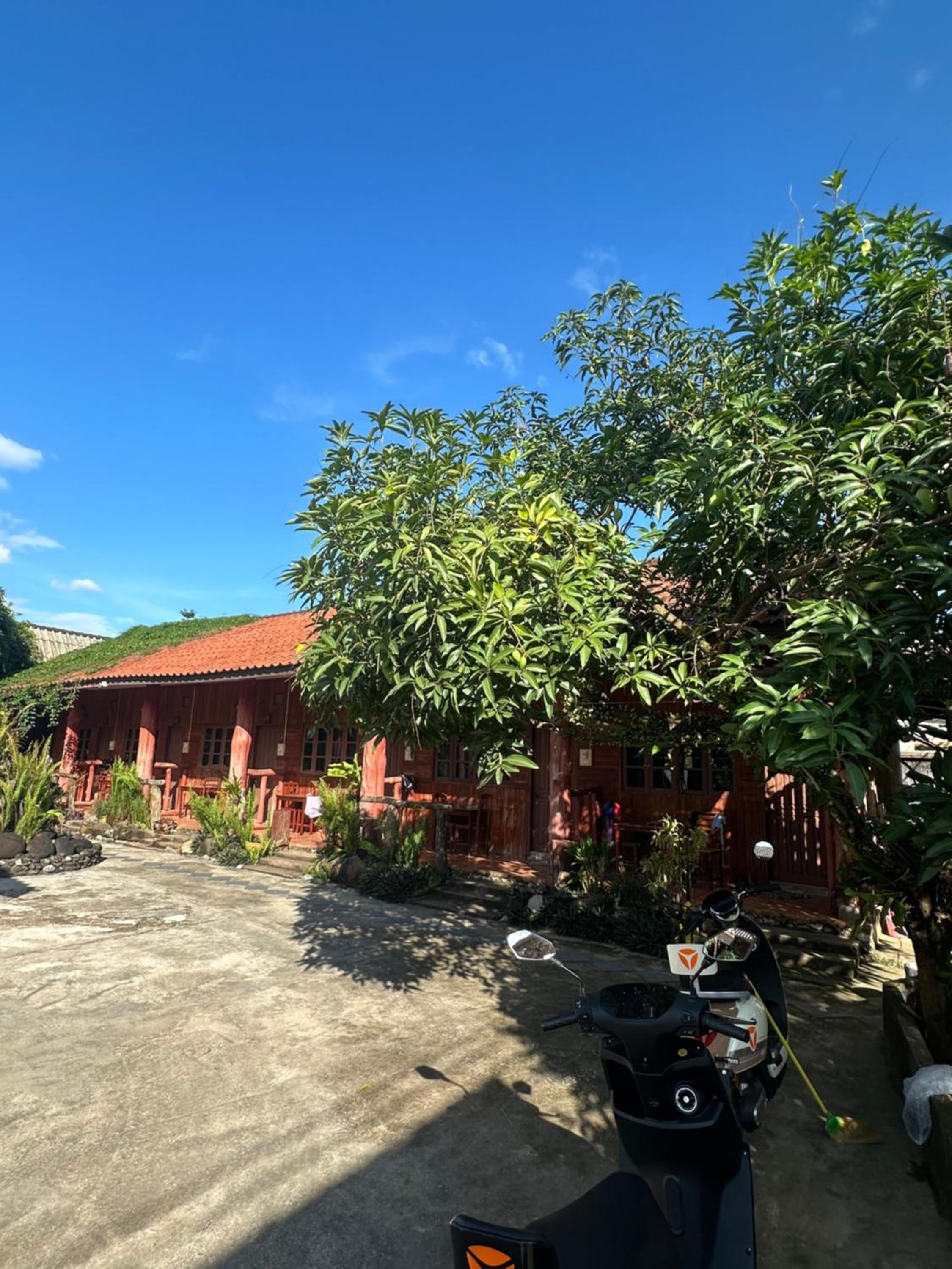 Bungalow