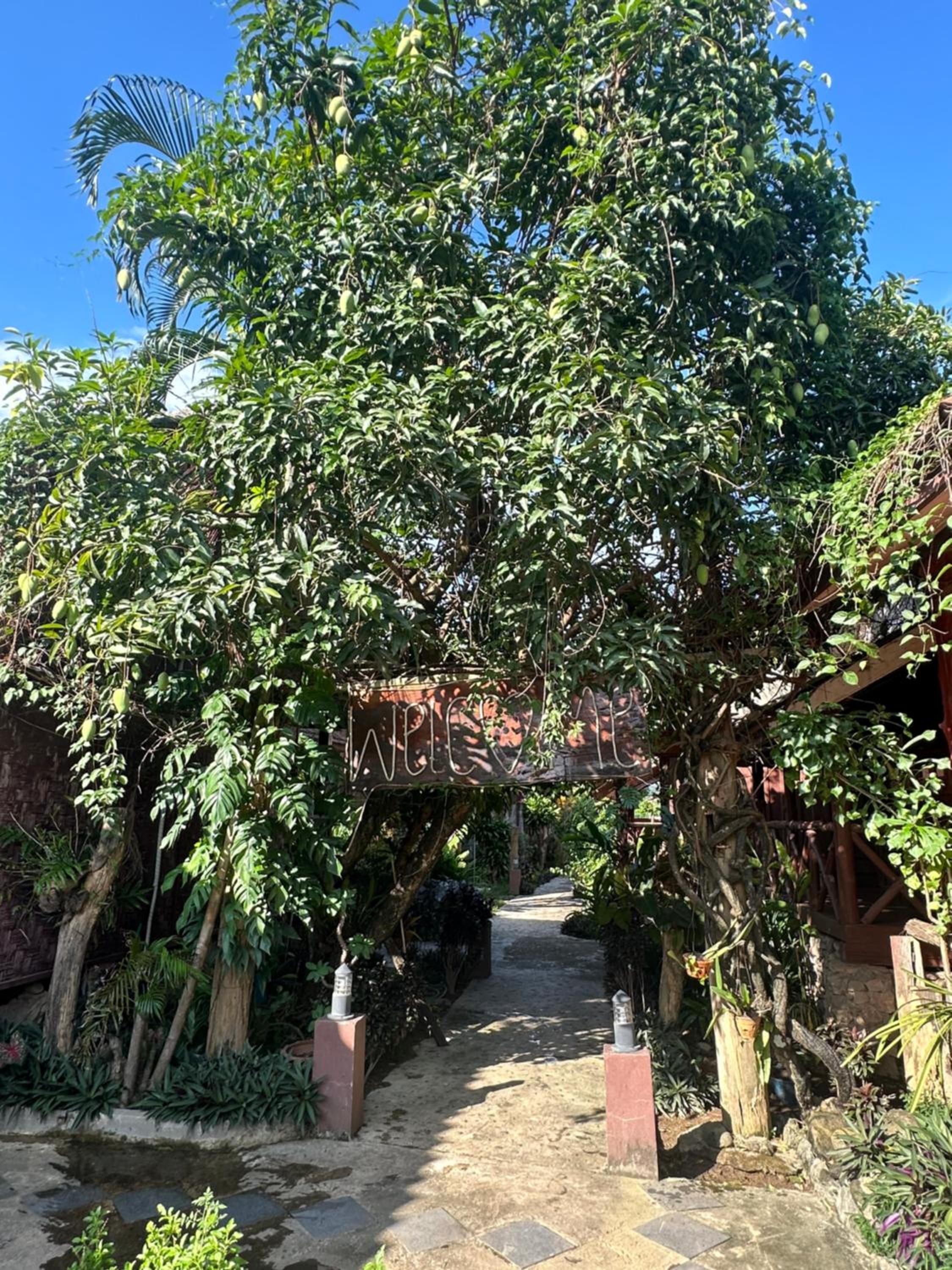 Bungalow