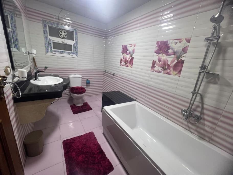 Fantastic Nile view Apartment