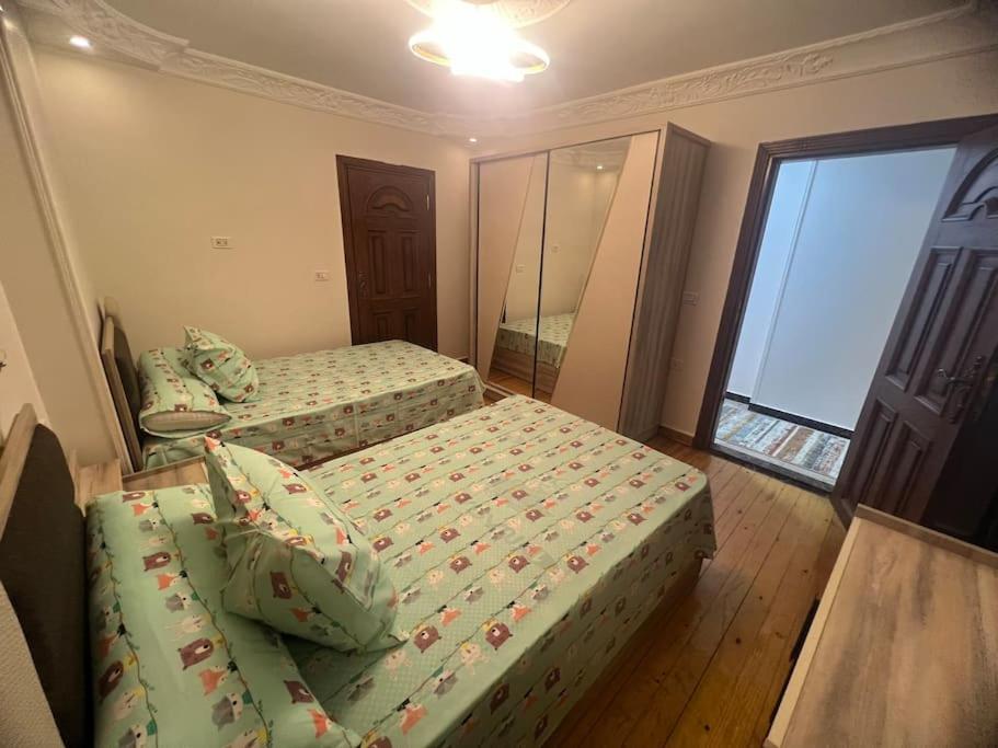 Fantastic Nile view Apartment
