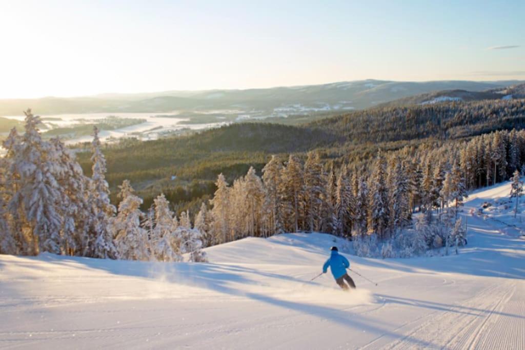 Bergsgården Lodge Järvsö - Ski In Ski Out med bastu invid Järvsöbacken - OBS!!! BYTESDAGAR ÄR ENDAST TORS O SÖND OBS!!!