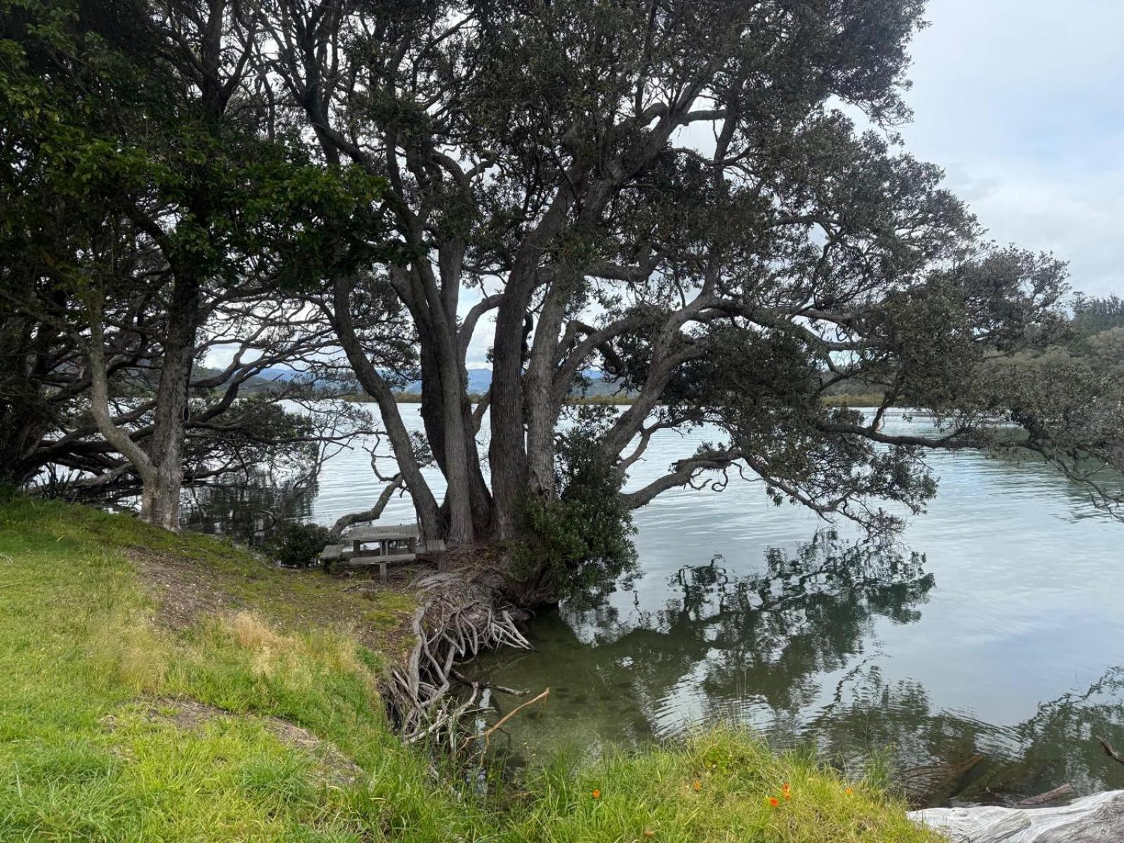Whitianga Riverfront Cottage
