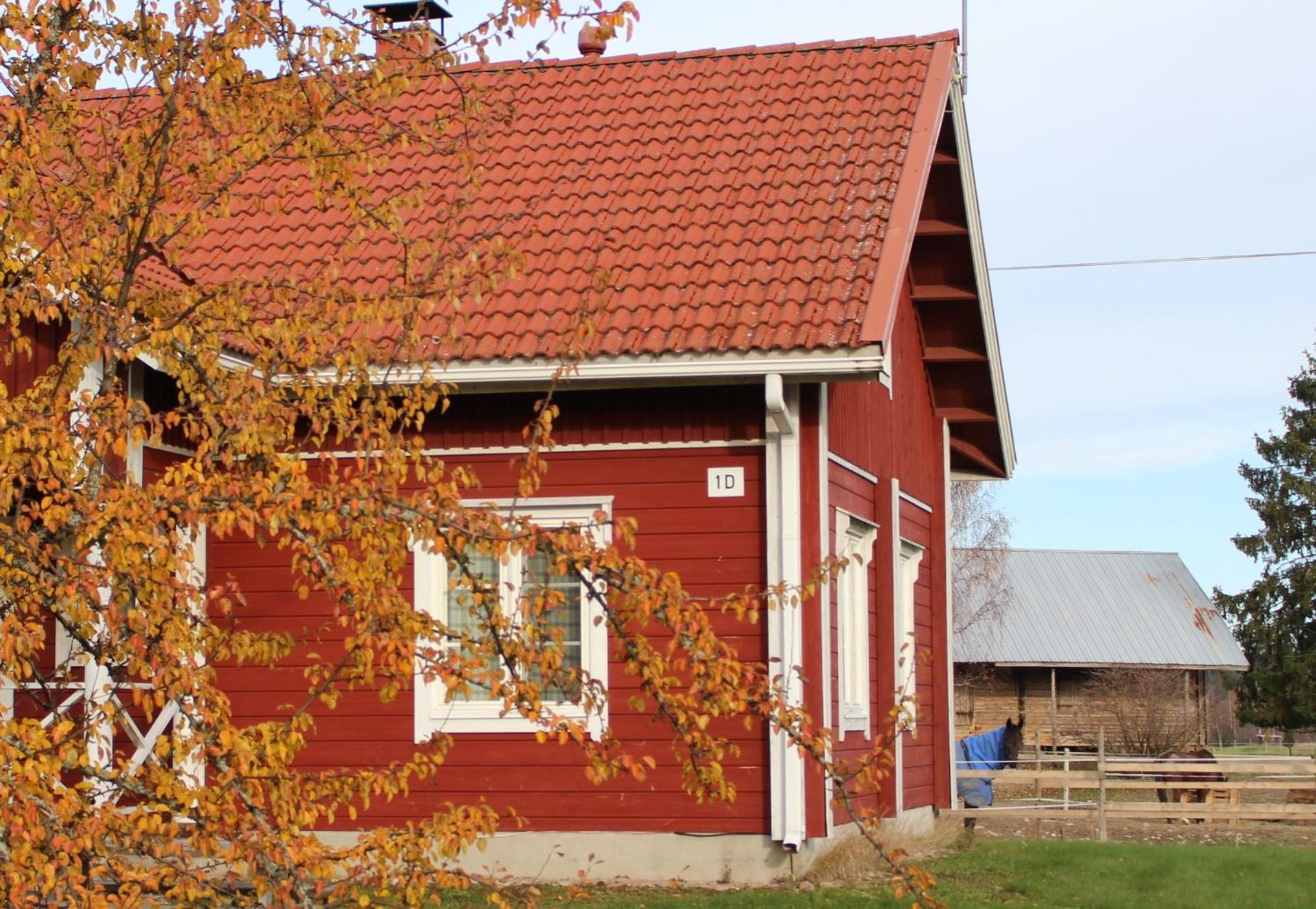 Lomakivi