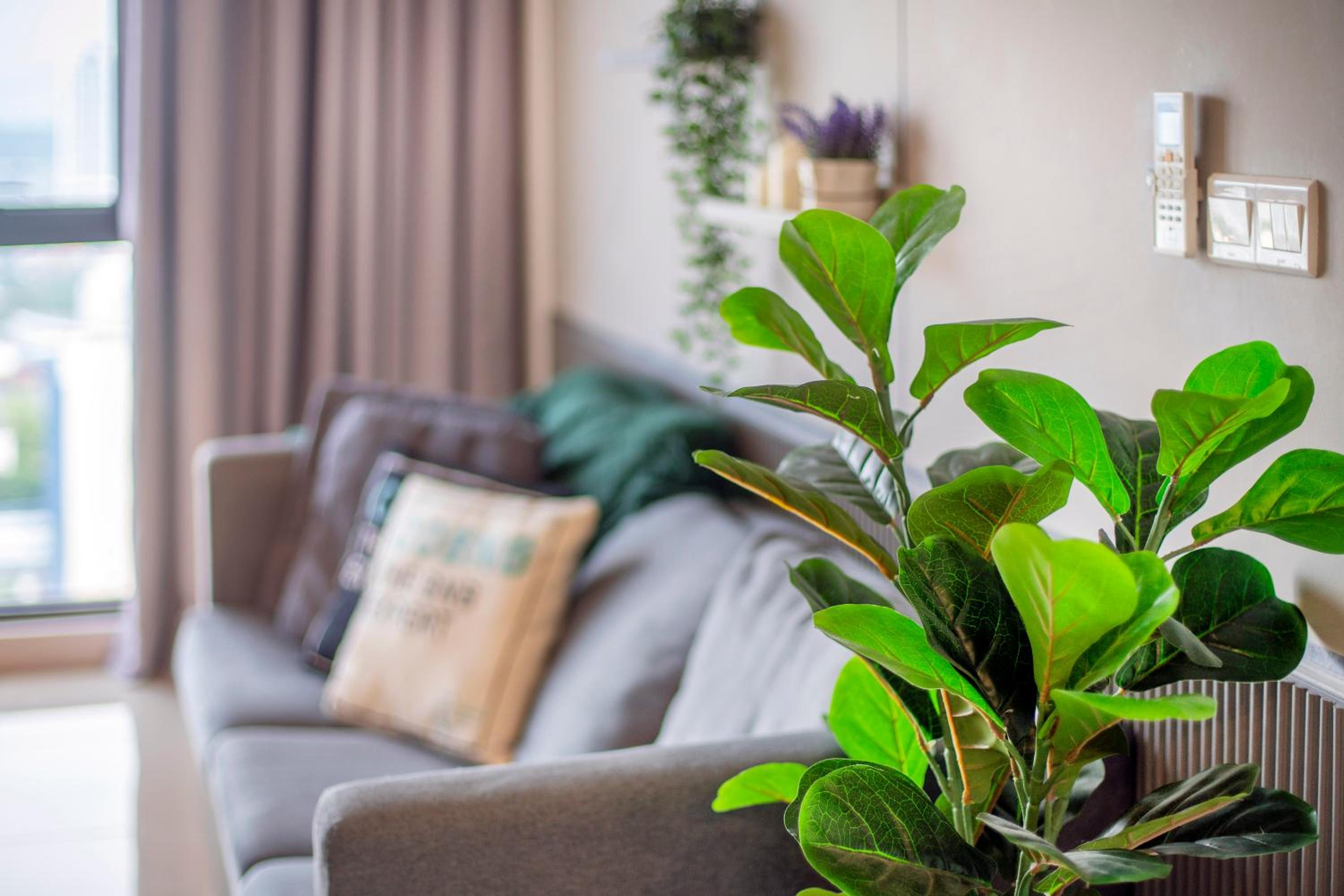 Novum Bangsar South Premium Suite, Mid Valley KL