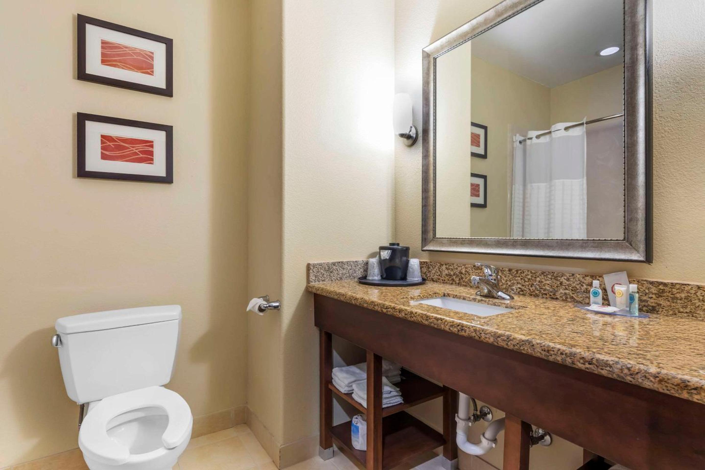 Comfort Inn & Suites Mexia, 写真 17