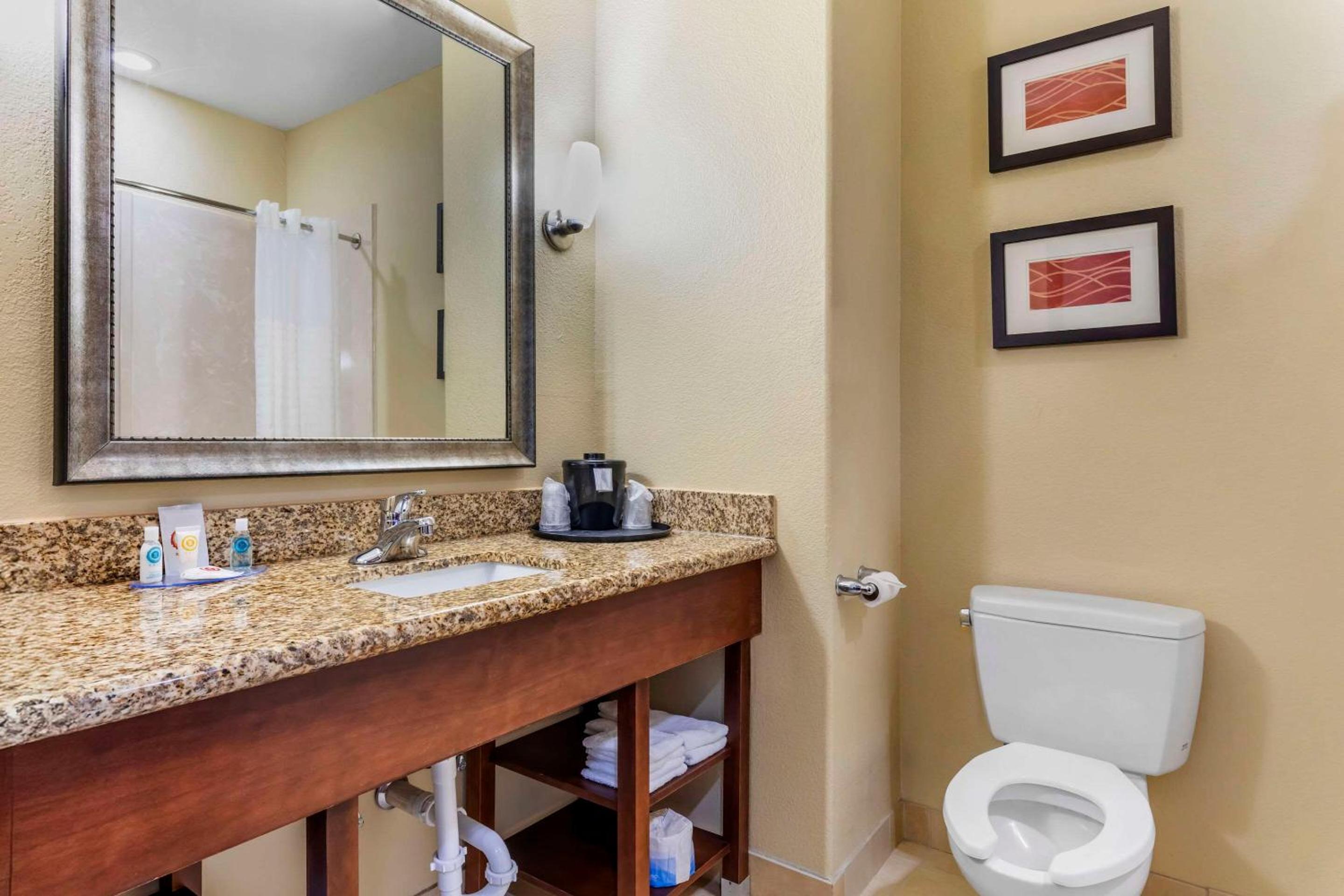 Comfort Inn & Suites Mexia, 写真 28