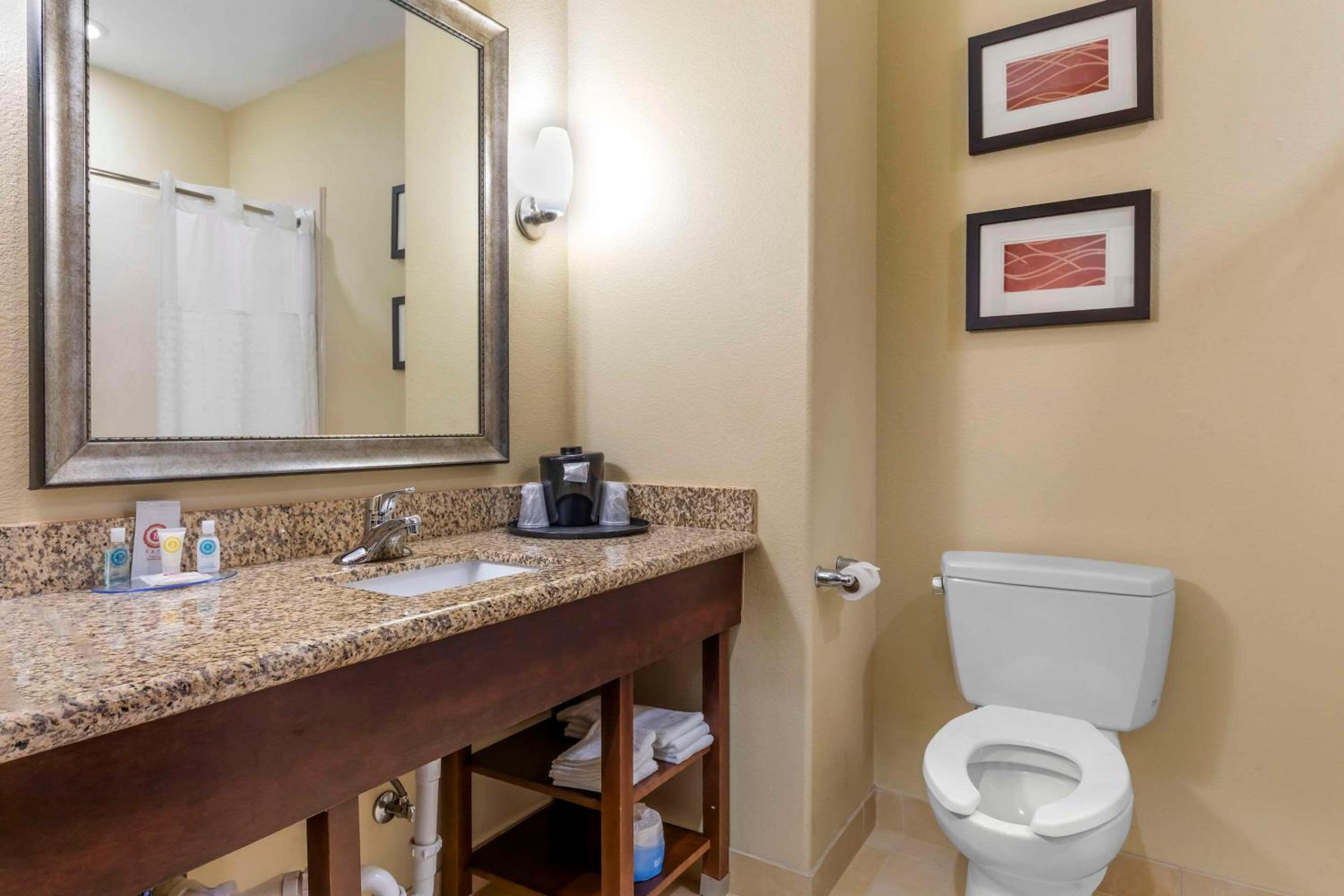 Comfort Inn & Suites Mexia, 写真 33