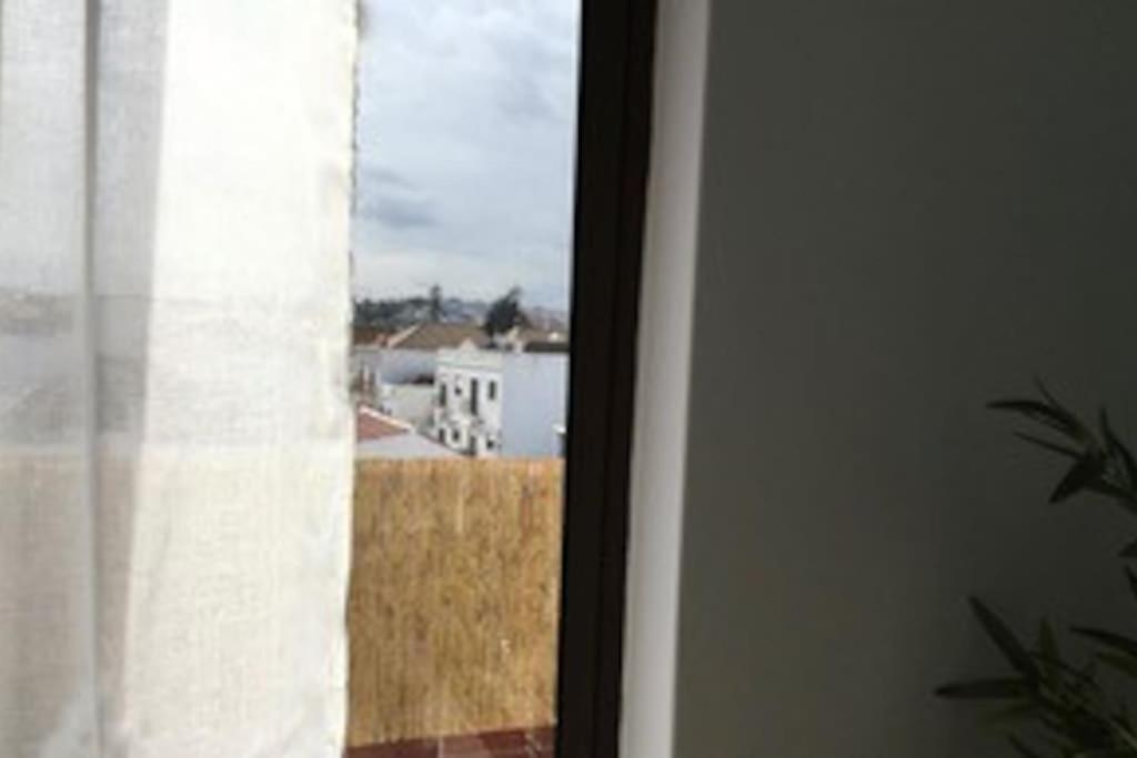 Photo 35