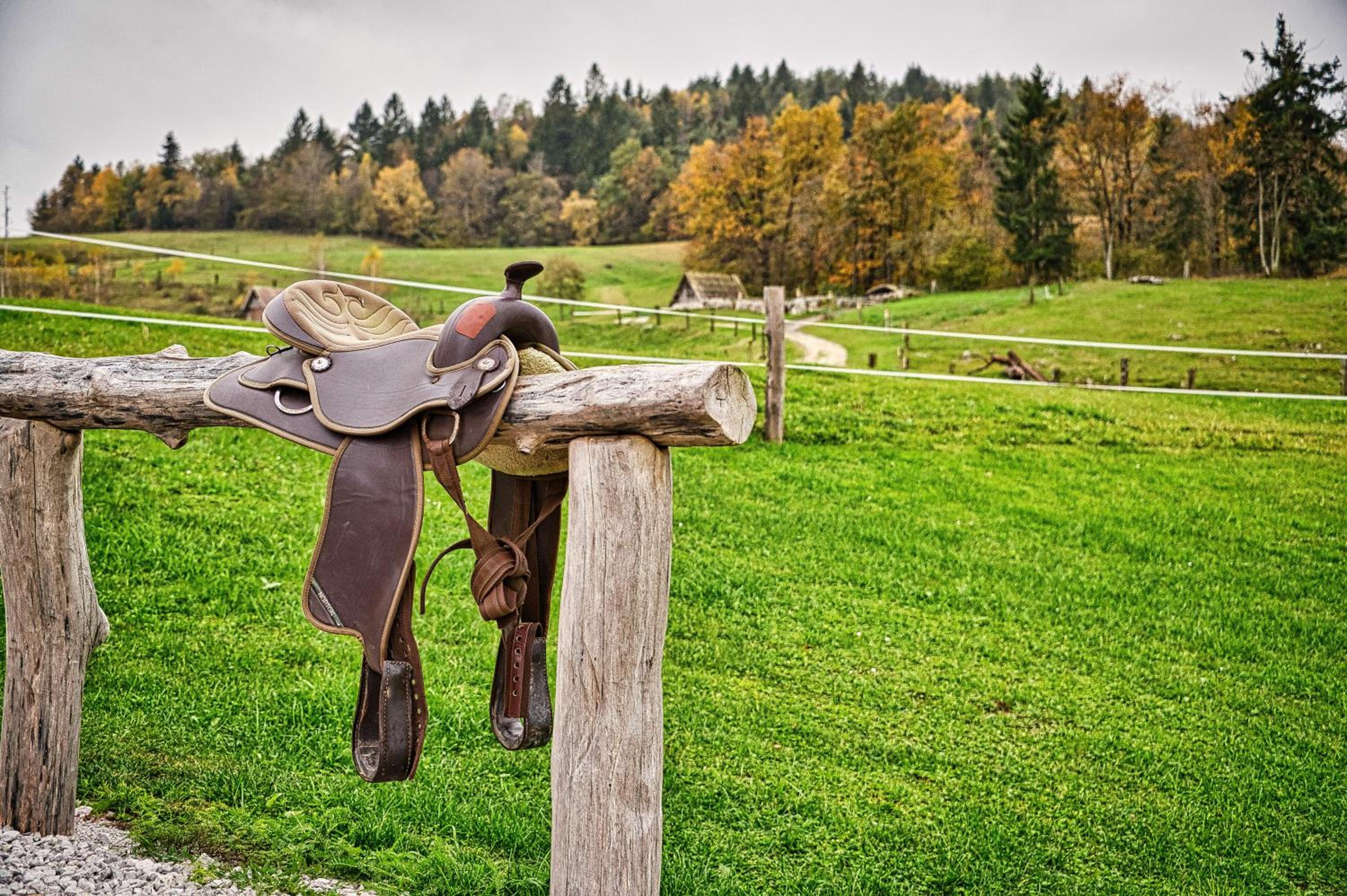 Cowboy's Land