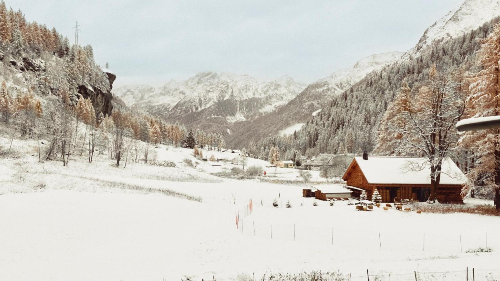 Casalpina Cozy chalet