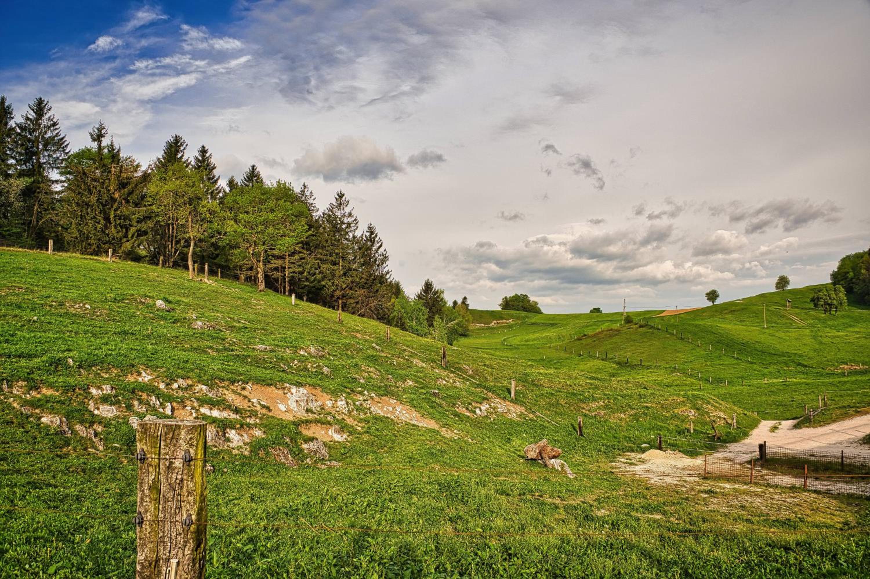 Cowboy's Land