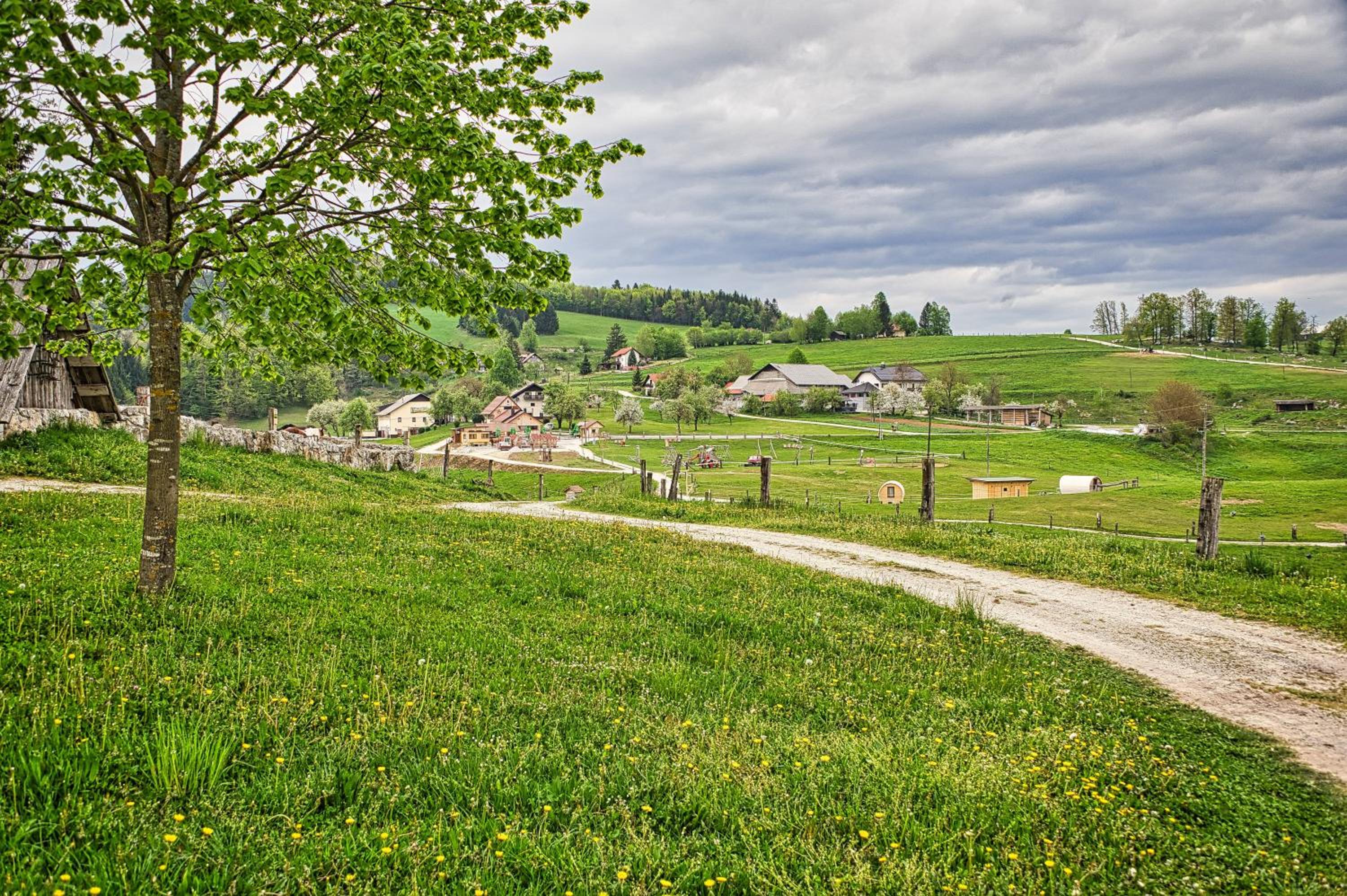Cowboy's Land