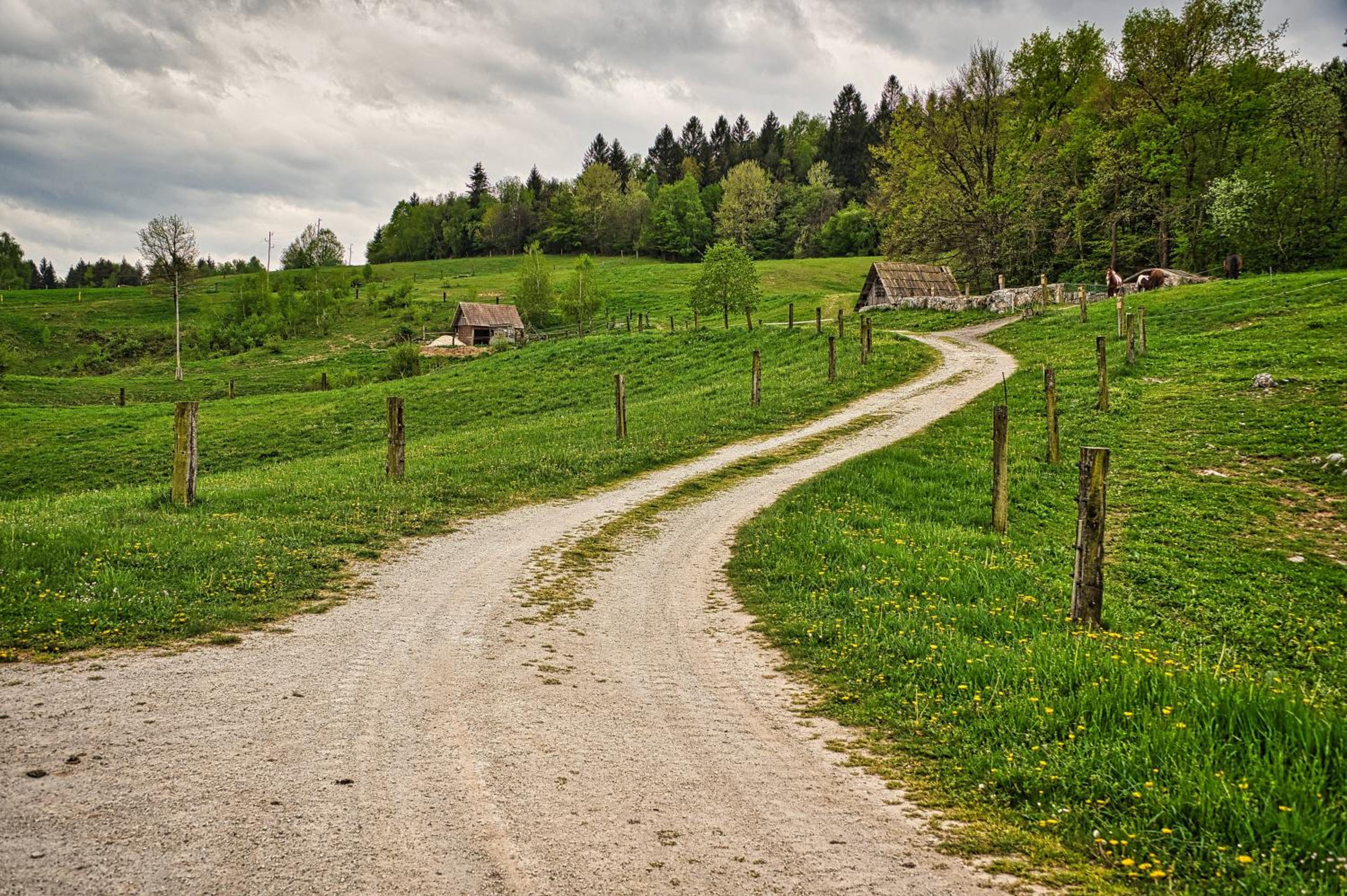 Cowboy's Land