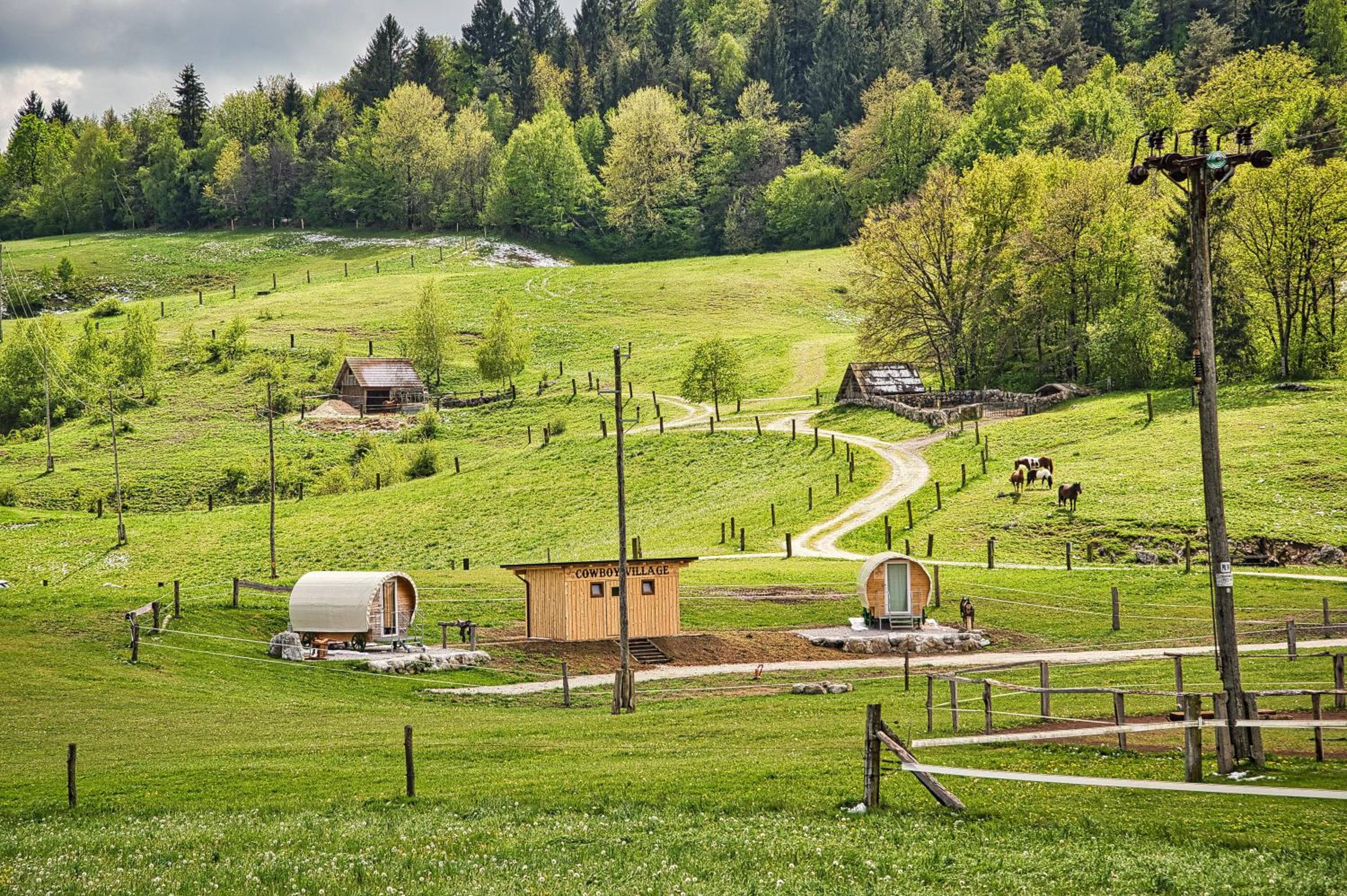 Cowboy's Land