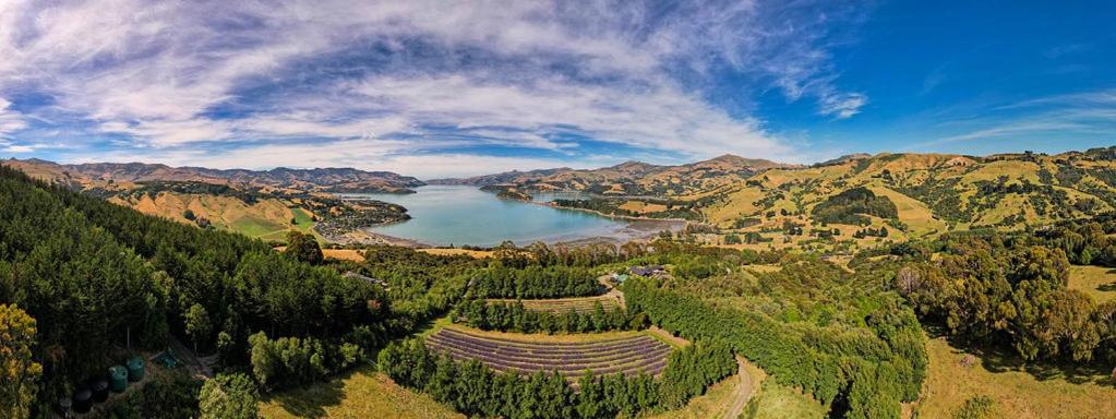 Lavender Cottage at Akaroa Lavender