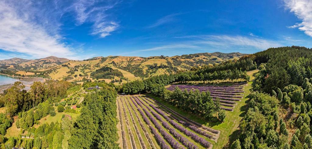 Lavender Cottage at Akaroa Lavender