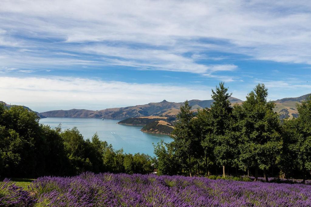 Lavender Cottage at Akaroa Lavender