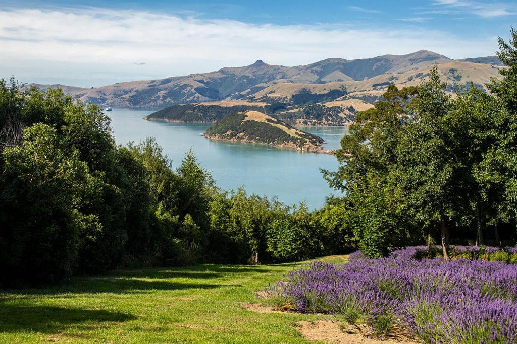 Lavender Cottage at Akaroa Lavender