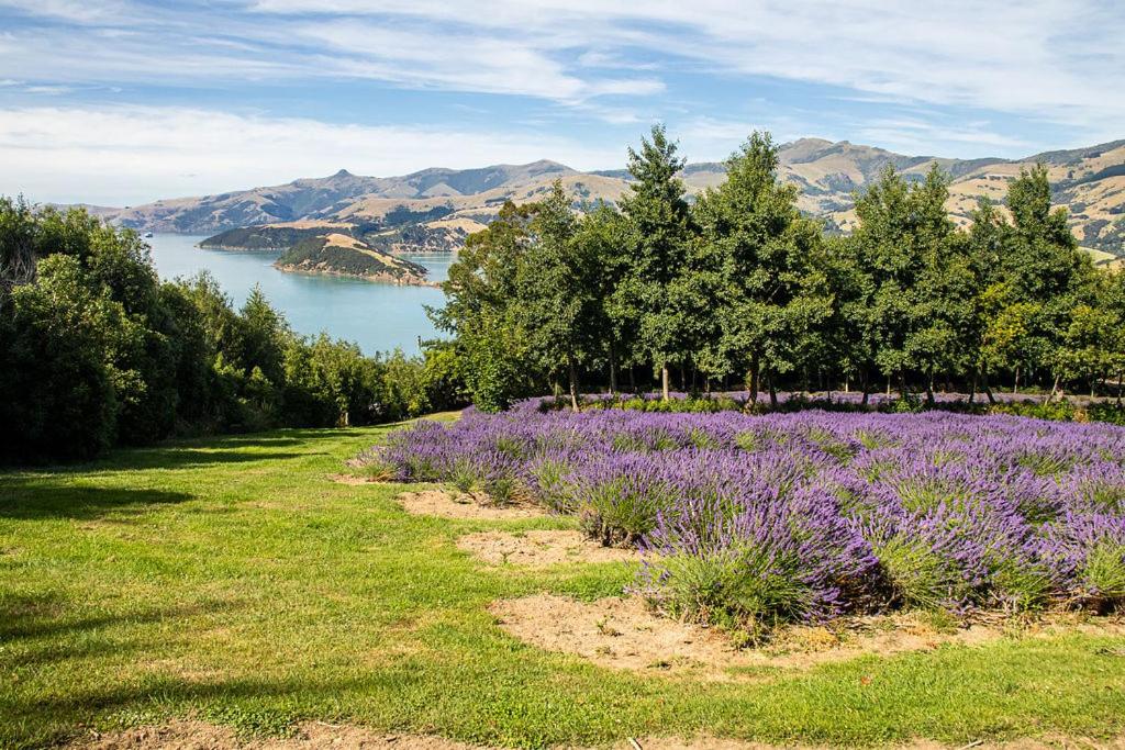 Lavender Cottage at Akaroa Lavender