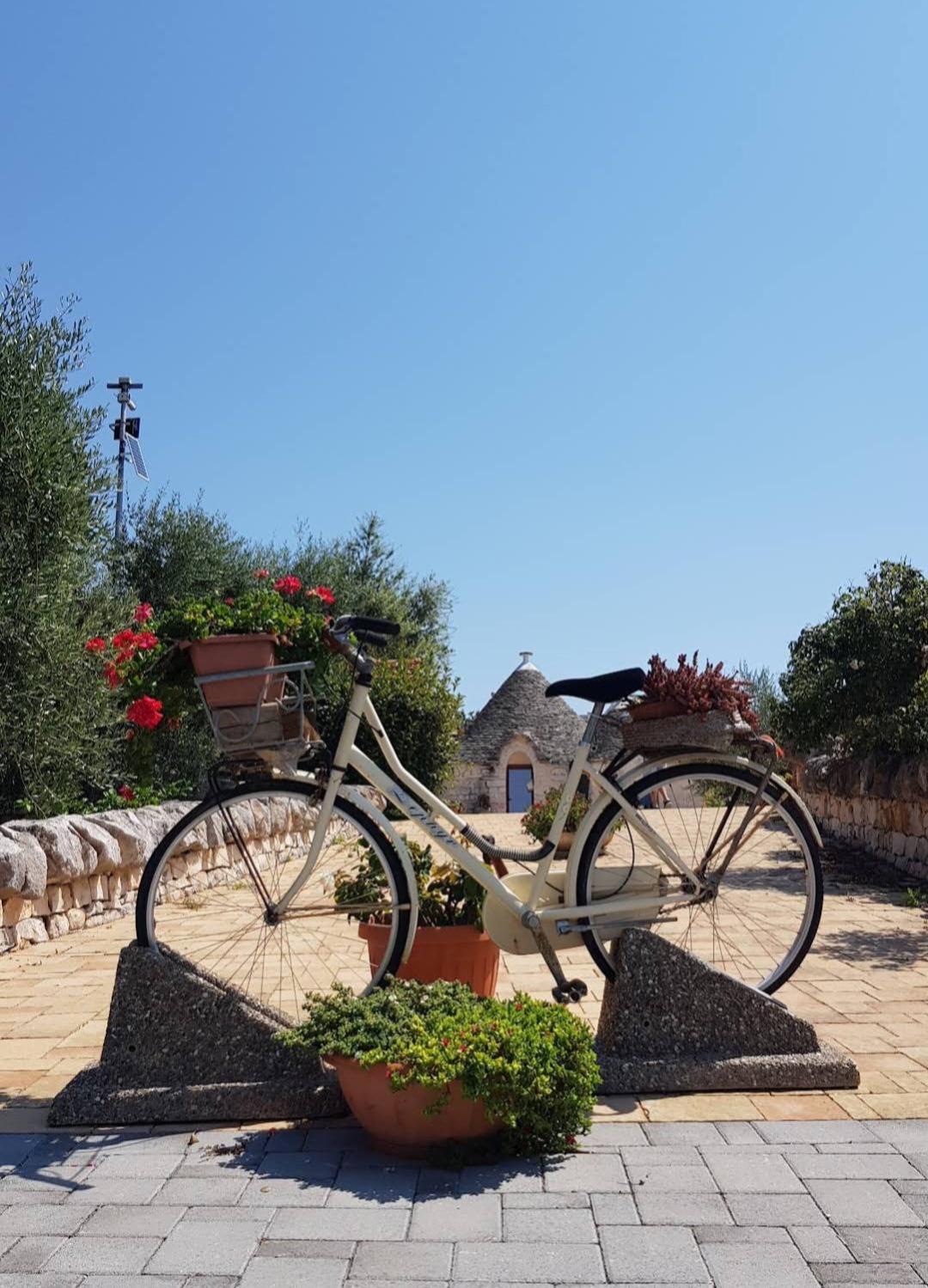B&B La Rosa dei Trulli Alberobello