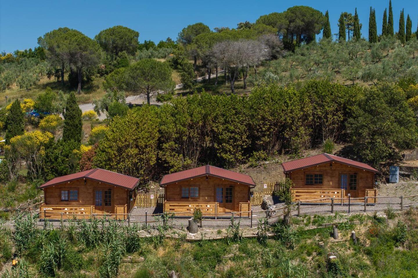 Agriturismo e Maneggio Poggio Leone view 3