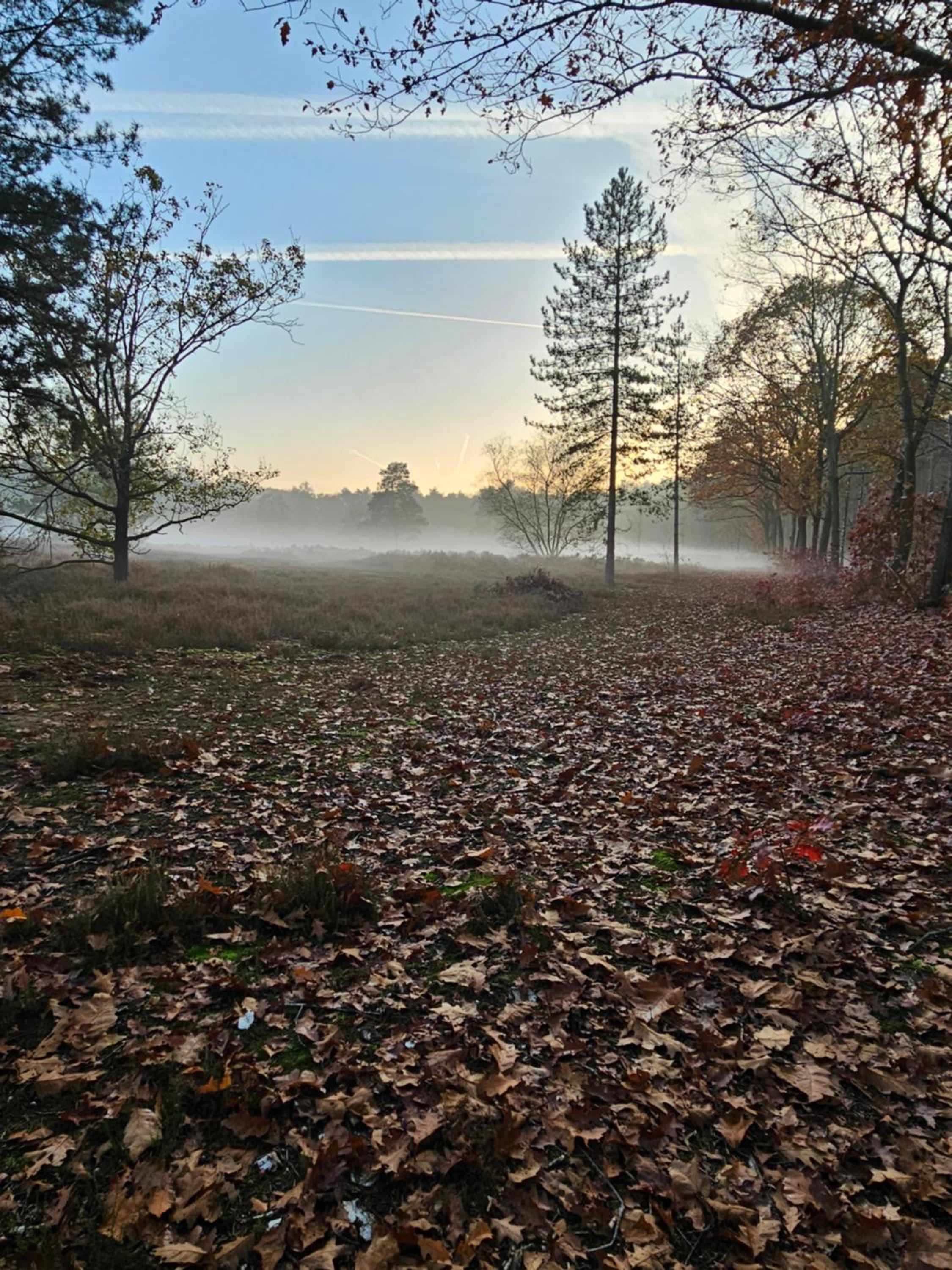 Photo 41