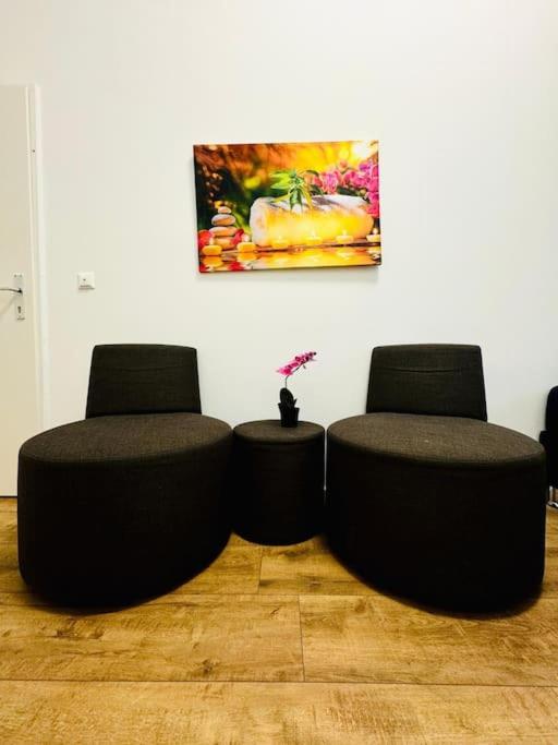 Cozy 9BR Apartment for 18 Near Augarten