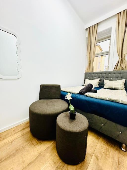 Cozy 9BR Apartment for 18 Near Augarten