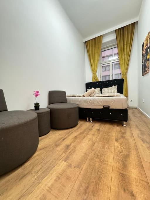 Cozy 9BR Apartment for 18 Near Augarten